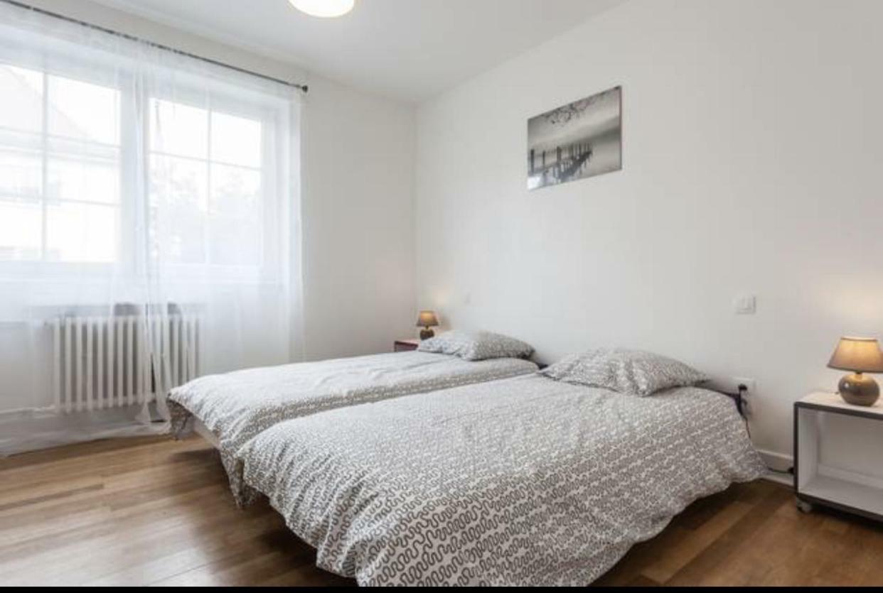 Charmant Appartement Avec Terrasse Dans Villa Strasbourg Exteriör bild