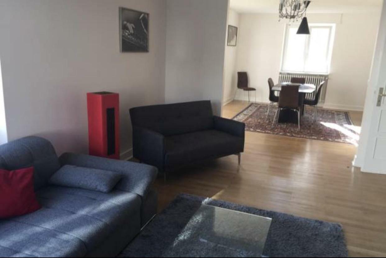 Charmant Appartement Avec Terrasse Dans Villa Strasbourg Exteriör bild