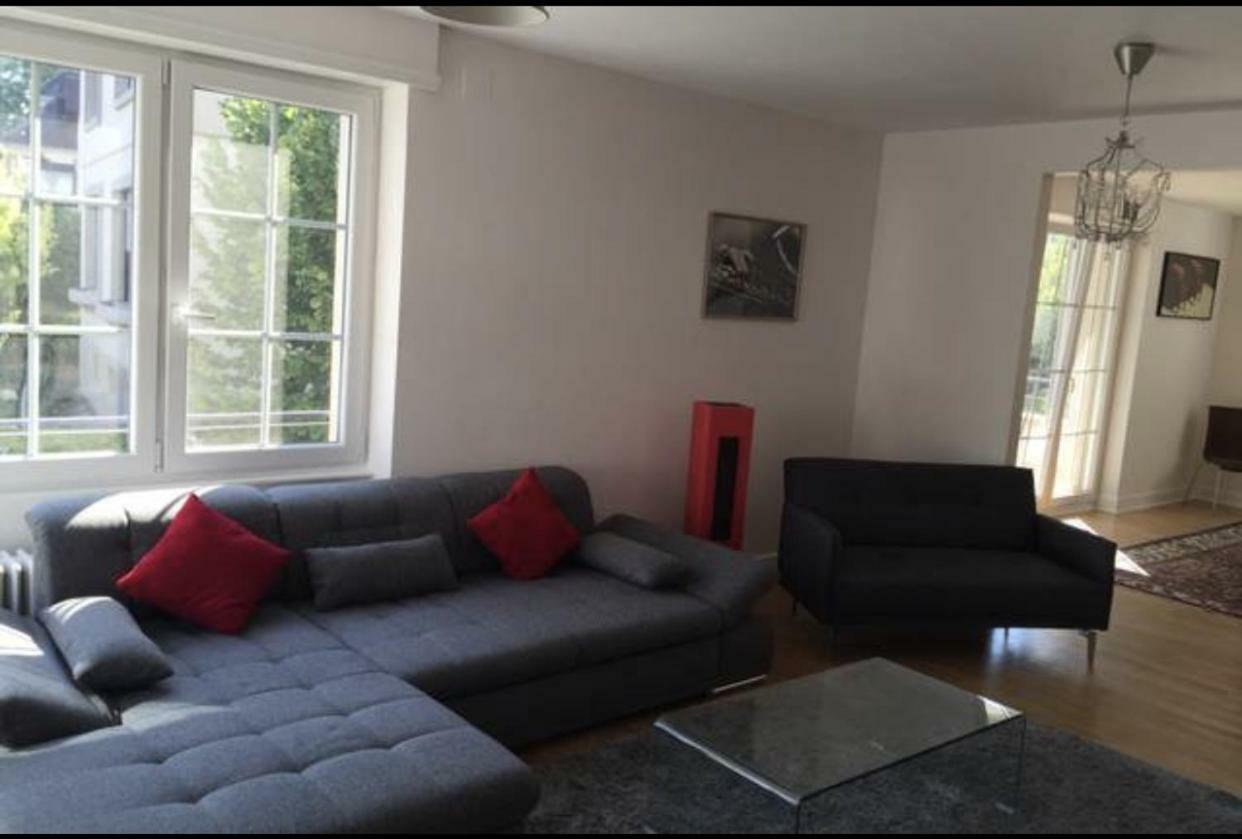 Charmant Appartement Avec Terrasse Dans Villa Strasbourg Exteriör bild